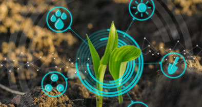 Smart Farming Digital Sprout